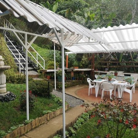 Bosque De Niebla Birding & Nature Cali Bagian luar foto