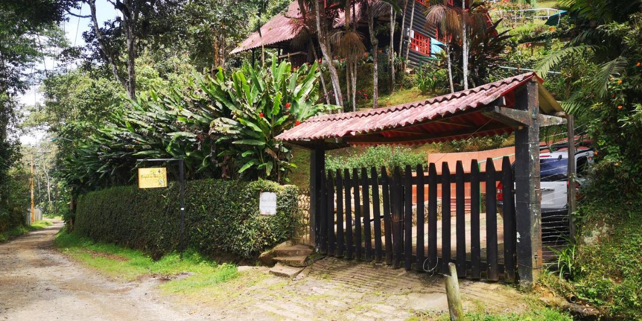 Bosque De Niebla Birding & Nature Cali Bagian luar foto