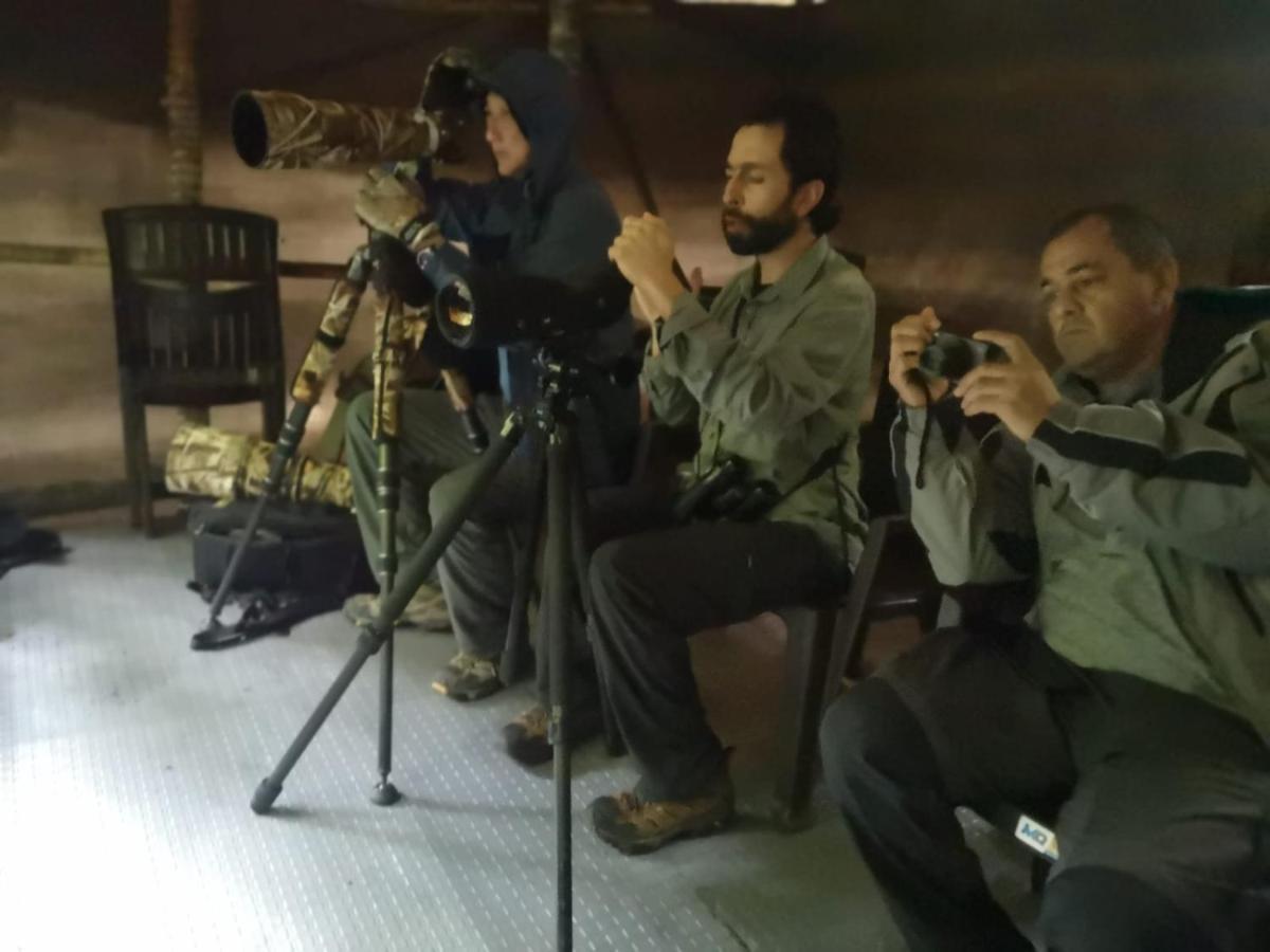 Bosque De Niebla Birding & Nature Cali Bagian luar foto