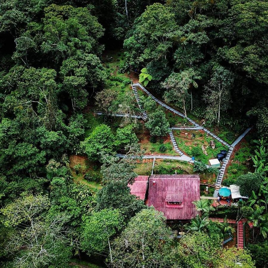Bosque De Niebla Birding & Nature Cali Bagian luar foto