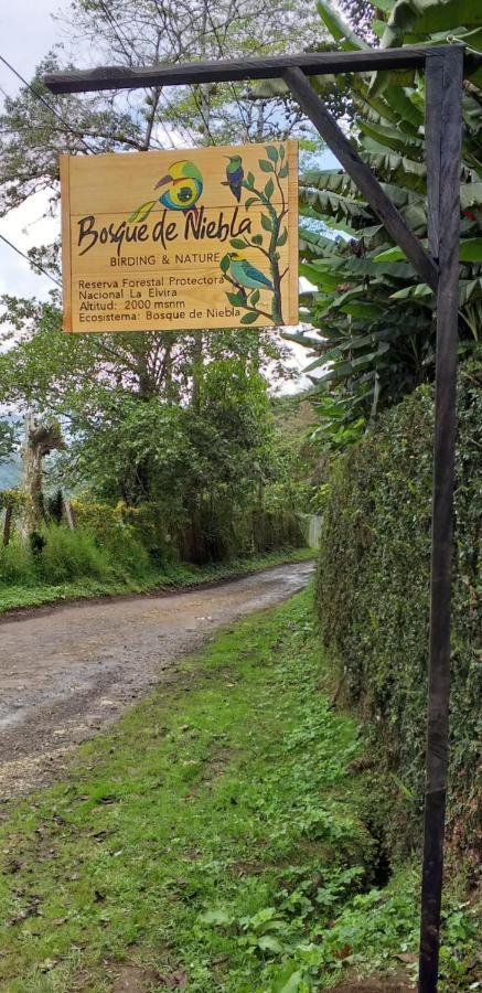Bosque De Niebla Birding & Nature Cali Bagian luar foto