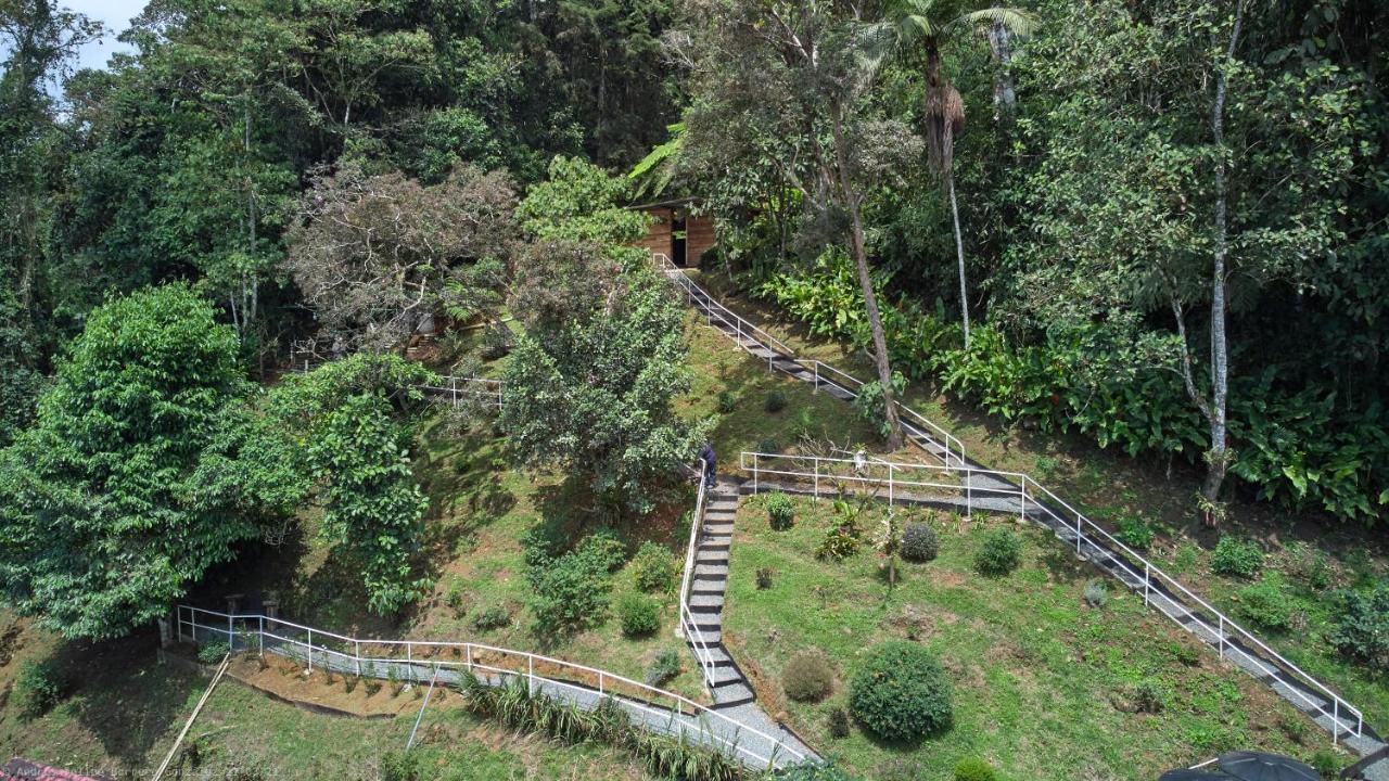 Bosque De Niebla Birding & Nature Cali Bagian luar foto