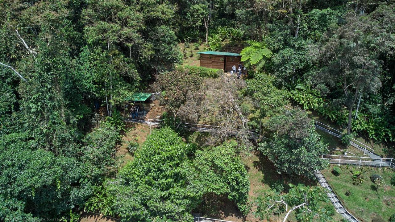 Bosque De Niebla Birding & Nature Cali Bagian luar foto