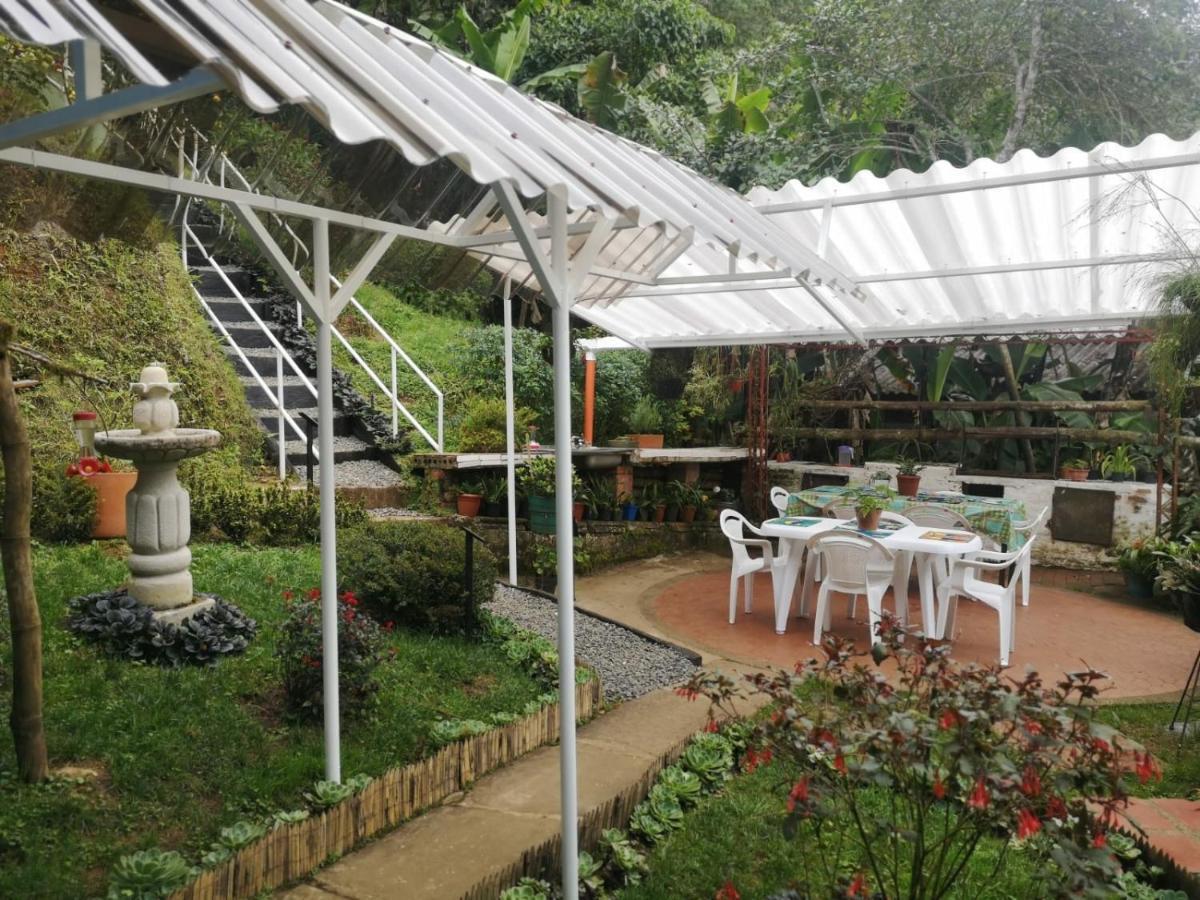 Bosque De Niebla Birding & Nature Cali Bagian luar foto