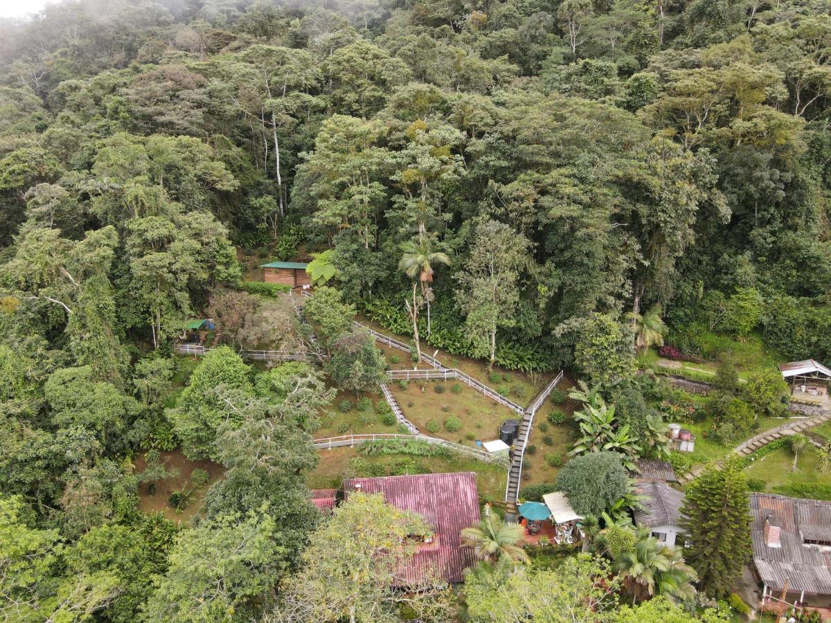 Bosque De Niebla Birding & Nature Cali Bagian luar foto