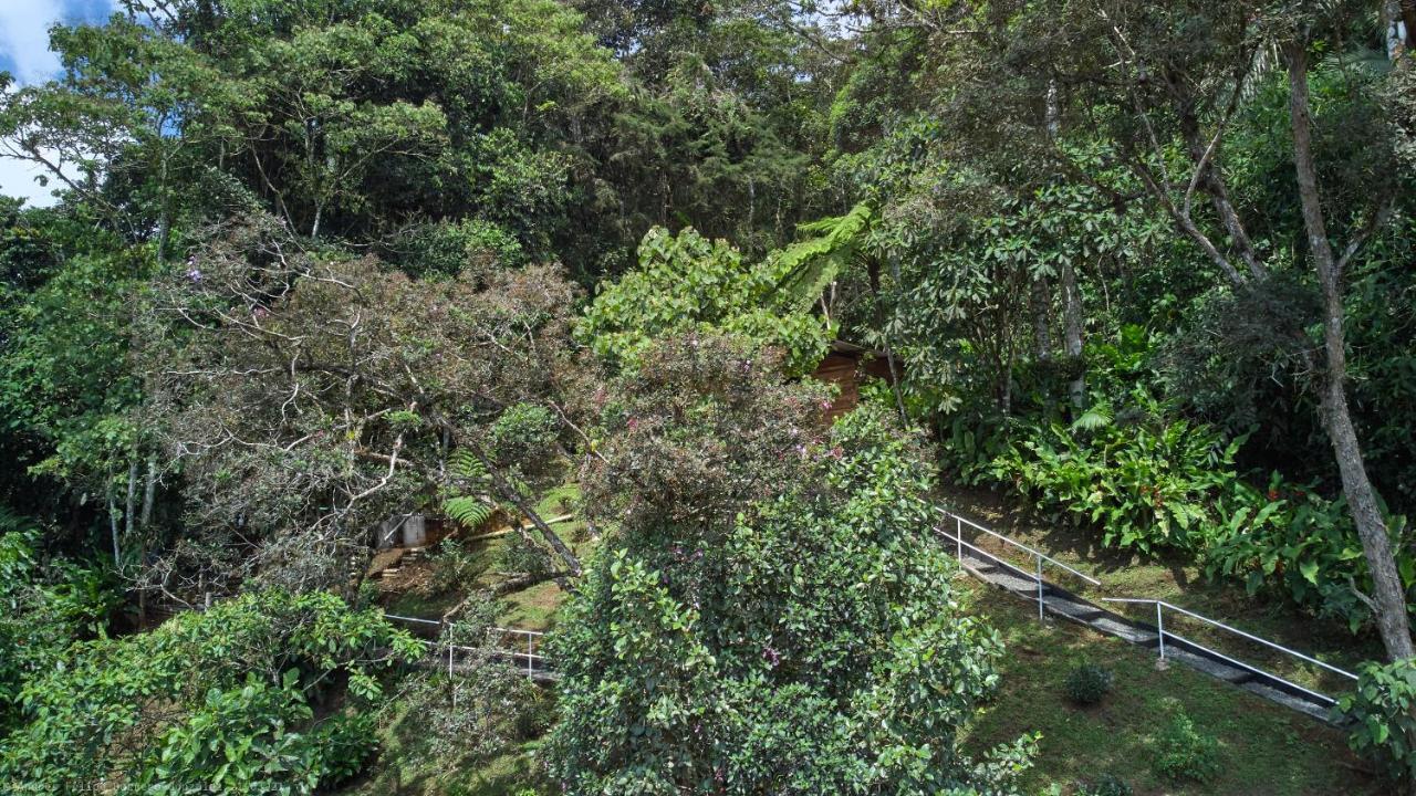 Bosque De Niebla Birding & Nature Cali Bagian luar foto